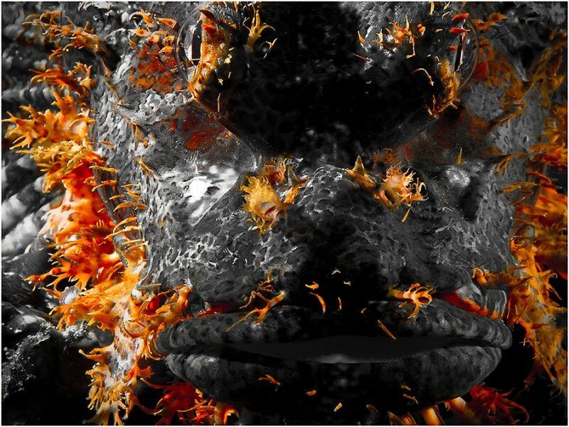 Inferno