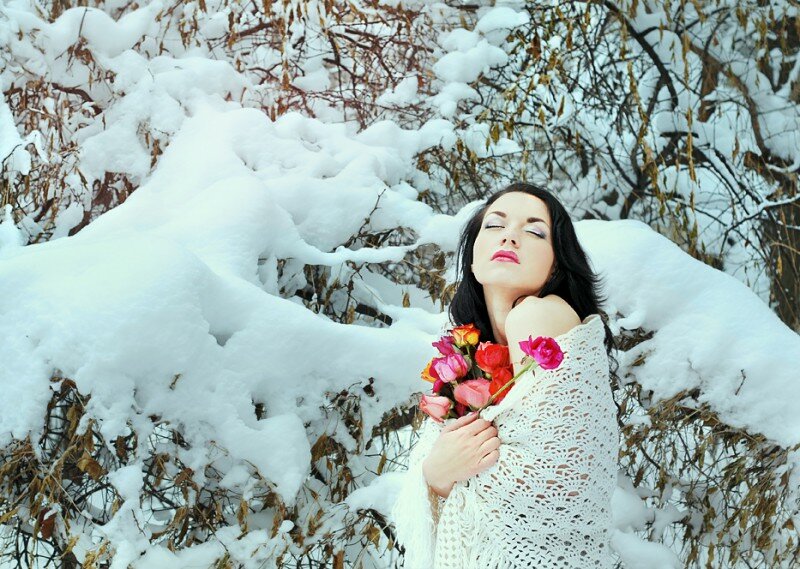 Roses in the Snow