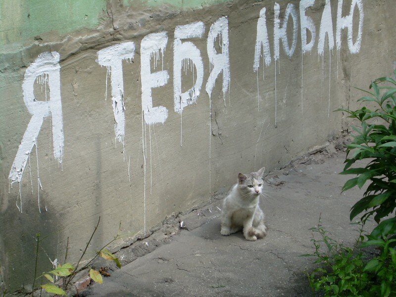 � ���� �����