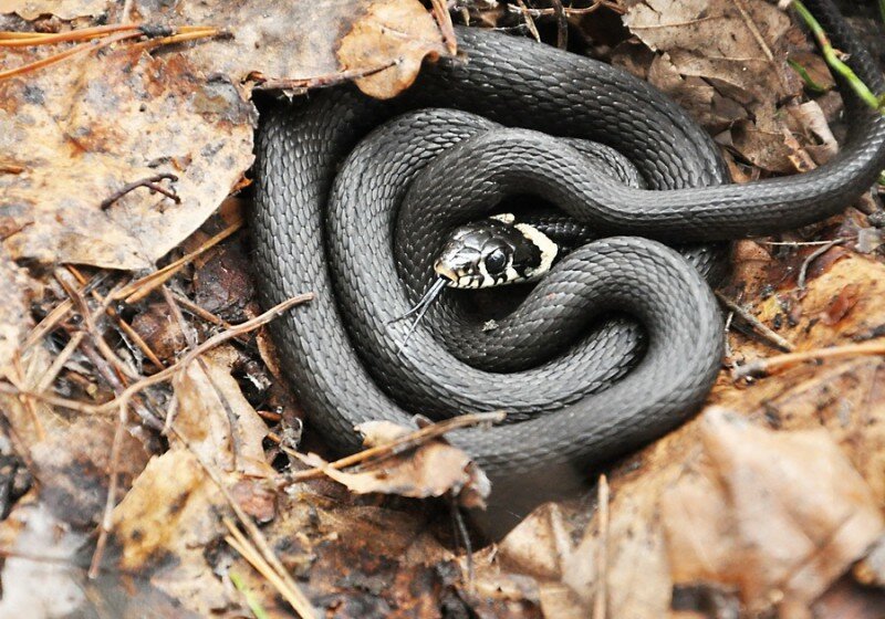 �����
